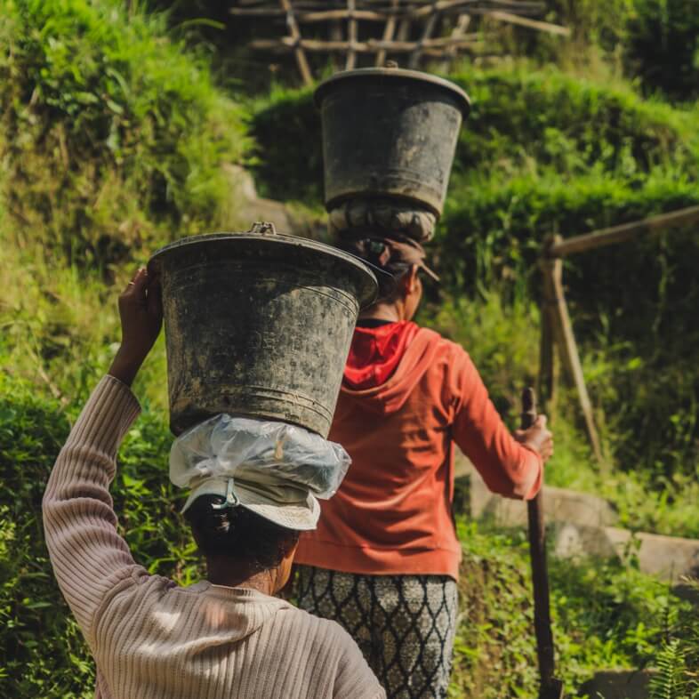 John Doe, SVP Ceranis Inc